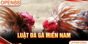 Luật đá gà miền Nam